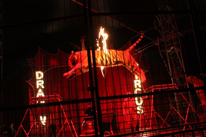 Opening of Dragon Circus